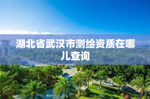 湖北省武汉市测绘资质在哪儿查询