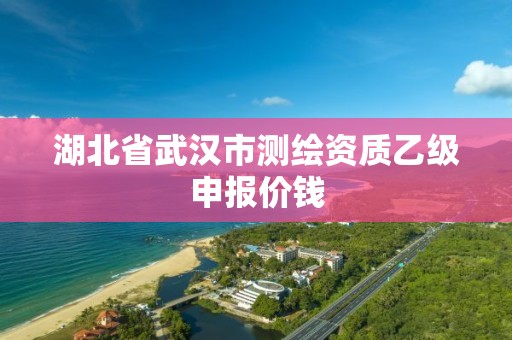 湖北省武汉市测绘资质乙级申报价钱