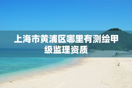 上海市黄浦区哪里有测绘甲级监理资质