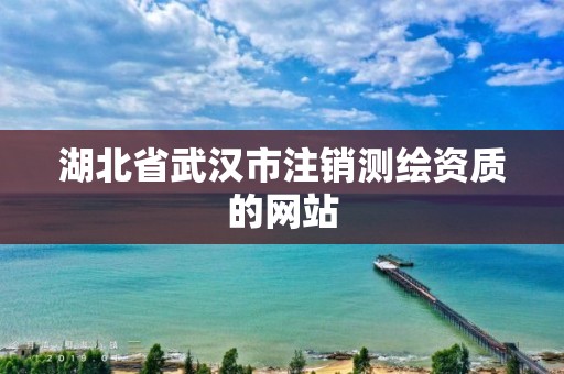 湖北省武汉市注销测绘资质的网站