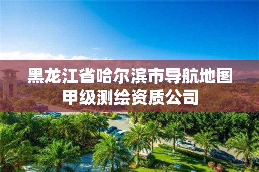 黑龙江省哈尔滨市导航地图甲级测绘资质公司