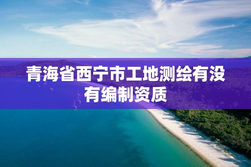 青海省西宁市工地测绘有没有编制资质