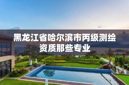 黑龙江省哈尔滨市丙级测绘资质那些专业