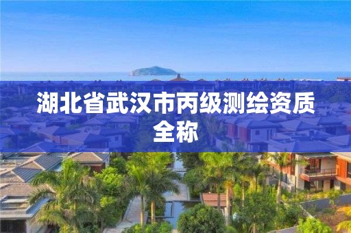 湖北省武汉市丙级测绘资质全称