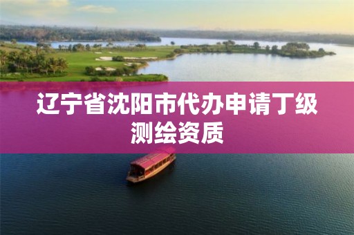 辽宁省沈阳市代办申请丁级测绘资质