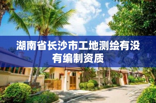 湖南省长沙市工地测绘有没有编制资质