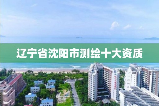 辽宁省沈阳市测绘十大资质