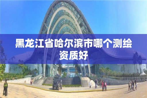 黑龙江省哈尔滨市哪个测绘资质好