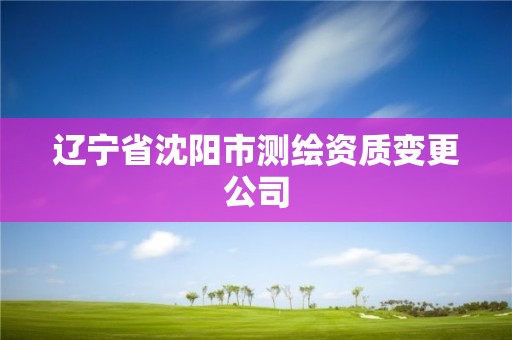 辽宁省沈阳市测绘资质变更公司