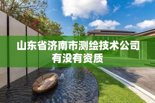 山东省济南市测绘技术公司有没有资质