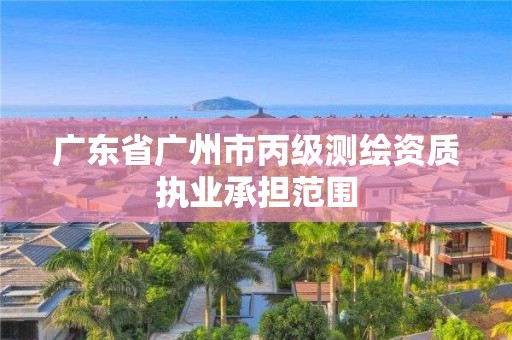 广东省广州市丙级测绘资质执业承担范围