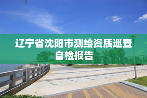 辽宁省沈阳市测绘资质巡查自检报告