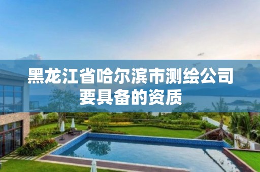 黑龙江省哈尔滨市测绘公司要具备的资质