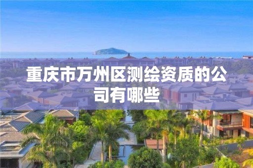 重庆市万州区测绘资质的公司有哪些