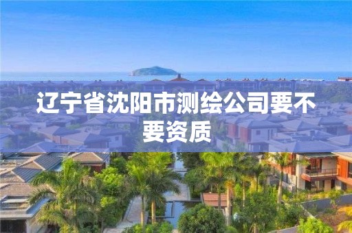 辽宁省沈阳市测绘公司要不要资质