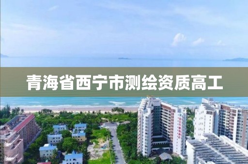 青海省西宁市测绘资质高工