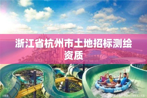 浙江省杭州市土地招标测绘资质