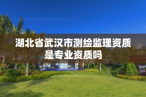 湖北省武汉市测绘监理资质是专业资质吗