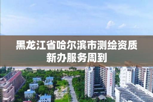 黑龙江省哈尔滨市测绘资质新办服务周到