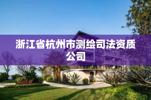 浙江省杭州市测绘司法资质公司