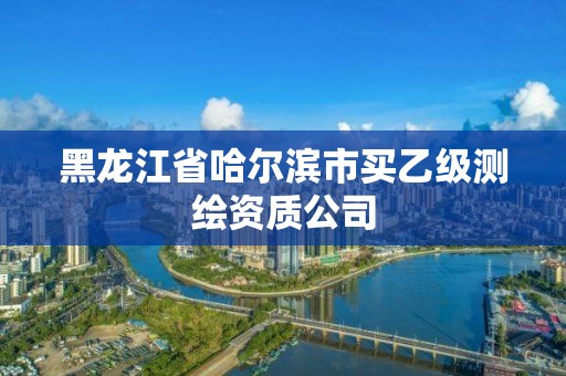 黑龙江省哈尔滨市买乙级测绘资质公司