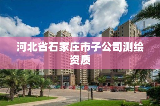 河北省石家庄市子公司测绘资质