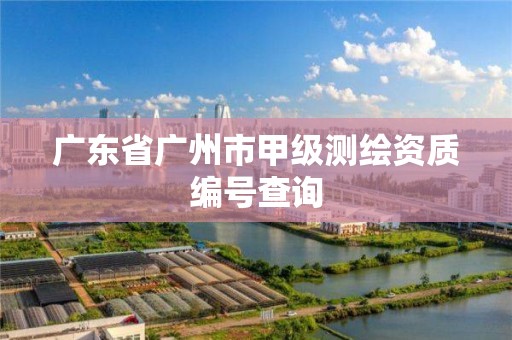 广东省广州市甲级测绘资质编号查询