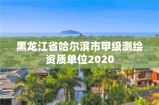 黑龙江省哈尔滨市甲级测绘资质单位2020