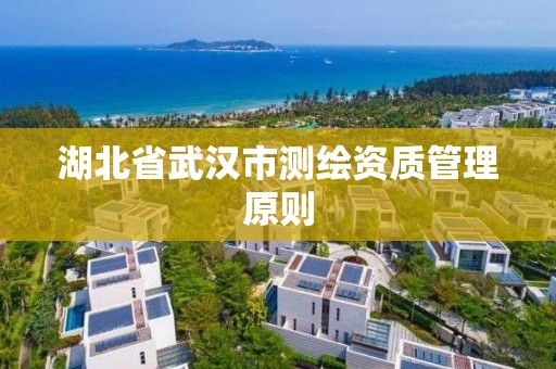 湖北省武汉市测绘资质管理原则