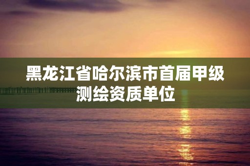 黑龙江省哈尔滨市首届甲级测绘资质单位