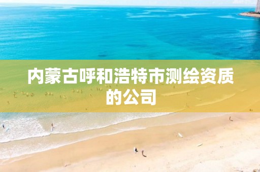 内蒙古呼和浩特市测绘资质的公司