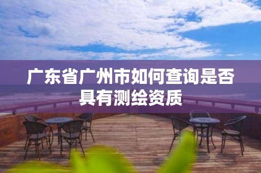 广东省广州市如何查询是否具有测绘资质