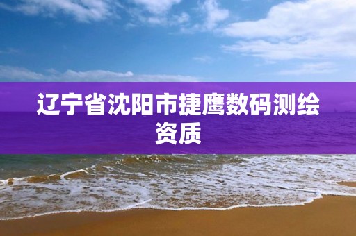 辽宁省沈阳市捷鹰数码测绘资质