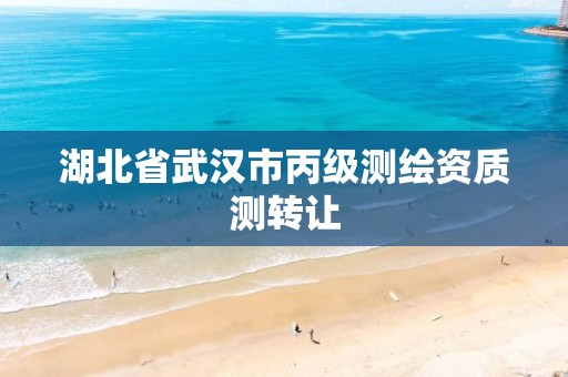 湖北省武汉市丙级测绘资质测转让