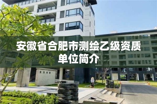 安徽省合肥市测绘乙级资质单位简介