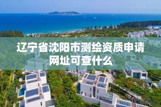 辽宁省沈阳市测绘资质申请网址可查什么