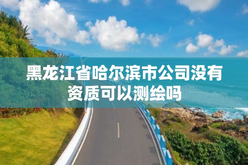 黑龙江省哈尔滨市公司没有资质可以测绘吗