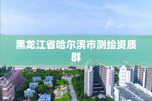 黑龙江省哈尔滨市测绘资质群