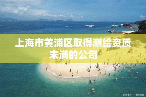 上海市黄浦区取得测绘资质未满的公司