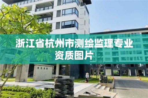 浙江省杭州市测绘监理专业资质图片