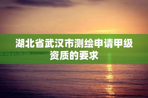 湖北省武汉市测绘申请甲级资质的要求