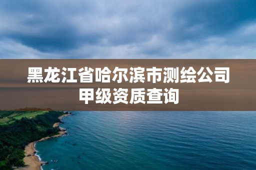 黑龙江省哈尔滨市测绘公司甲级资质查询