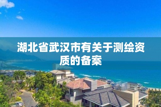 湖北省武汉市有关于测绘资质的备案