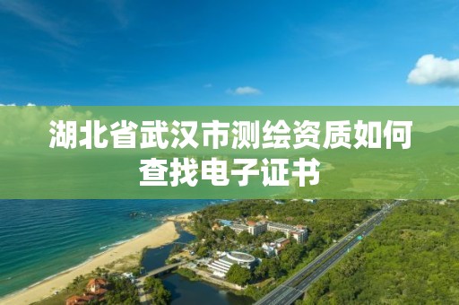 湖北省武汉市测绘资质如何查找电子证书