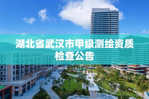 湖北省武汉市甲级测绘资质检查公告