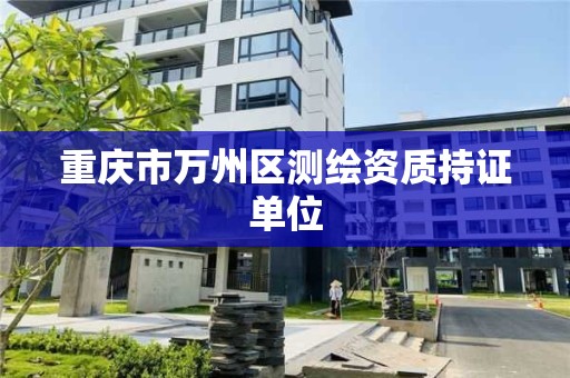 重庆市万州区测绘资质持证单位