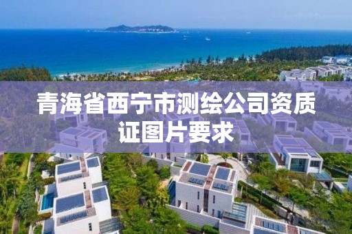 青海省西宁市测绘公司资质证图片要求