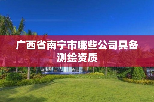 广西省南宁市哪些公司具备测绘资质