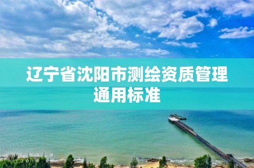 辽宁省沈阳市测绘资质管理通用标准