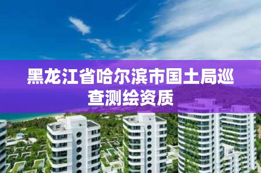 黑龙江省哈尔滨市国土局巡查测绘资质